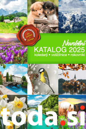 novoletni katalog